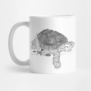 Diamondback Terrapin Turtle Art Mug